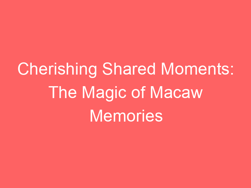 Cherishing Shared Moments: The Magic of Macaw Memories