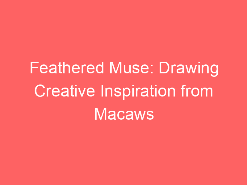Feathered Muse: Drawing Creative Inspiration from Macaws