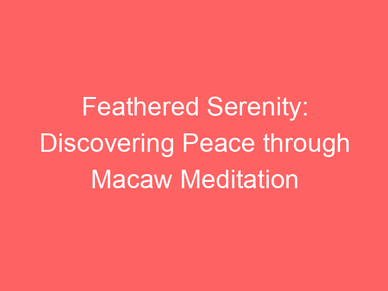 Feathered Serenity: Discovering Peace through Macaw Meditation