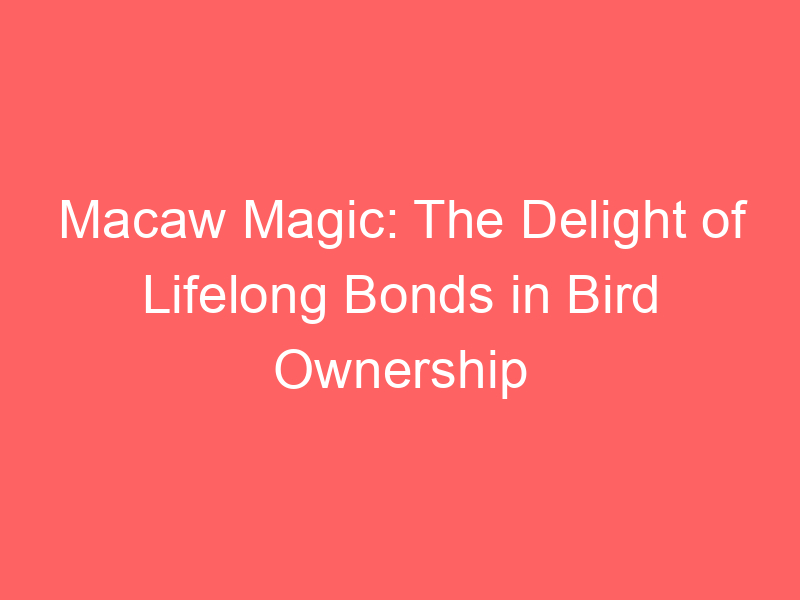 Macaw Magic: The Delight of Lifelong Bonds in Bird Ownership