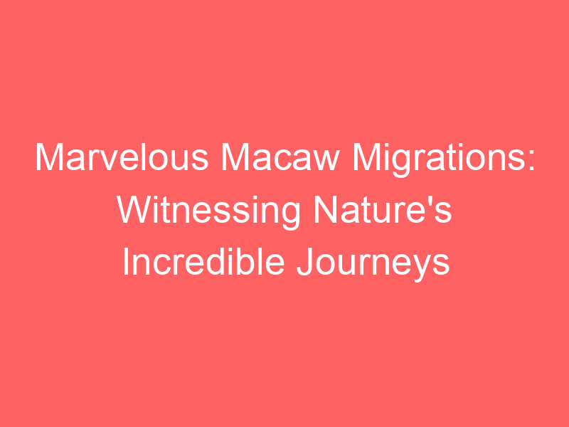 Marvelous Macaw Migrations: Witnessing Nature's Incredible Journeys