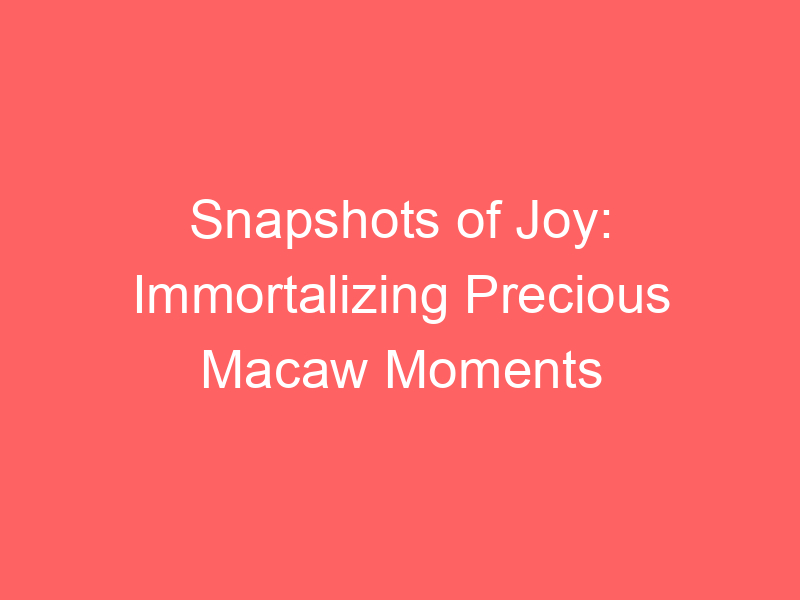 Snapshots of Joy: Immortalizing Precious Macaw Moments